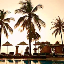 a pool with palm trees and umbrellas