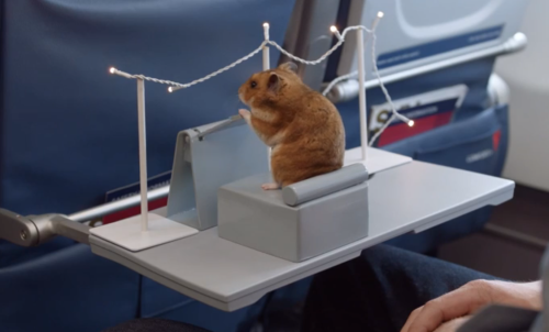 a hamster on a scale with lights
