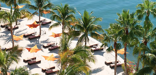 a beach with palm trees and lounge chairs