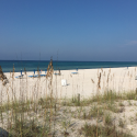a beach with grass and chairs