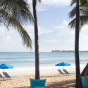 a beach with chairs and umbrellas