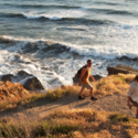 a group of people walking on a rocky hill near a body of water