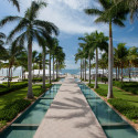 a walkway with palm trees and water with Laie Hawaii Temple in the background