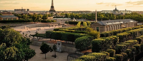 a large park with trees and a tower in the background