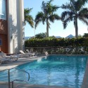 a pool with palm trees and a building