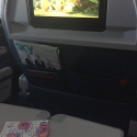 a tv in the back of an airplane seat