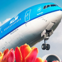 a blue and white airplane with tulips in the background