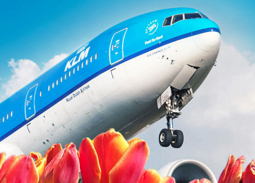 a blue and white airplane with tulips in the background