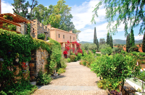 a brick path with plants and a building in the background