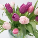 a bouquet of pink and white tulips
