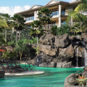 a pool with a waterfall and palm trees