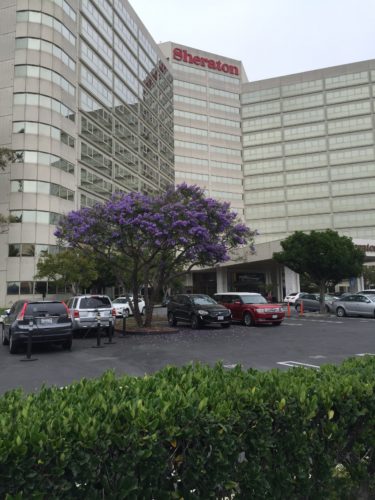 a parking lot with cars and trees in front of a building