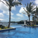 a pool with palm trees and a beach in the background