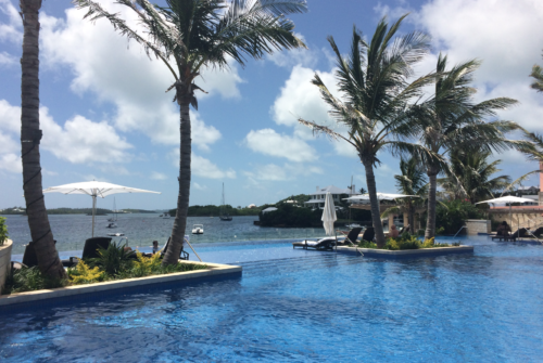 a pool with palm trees and a beach in the background