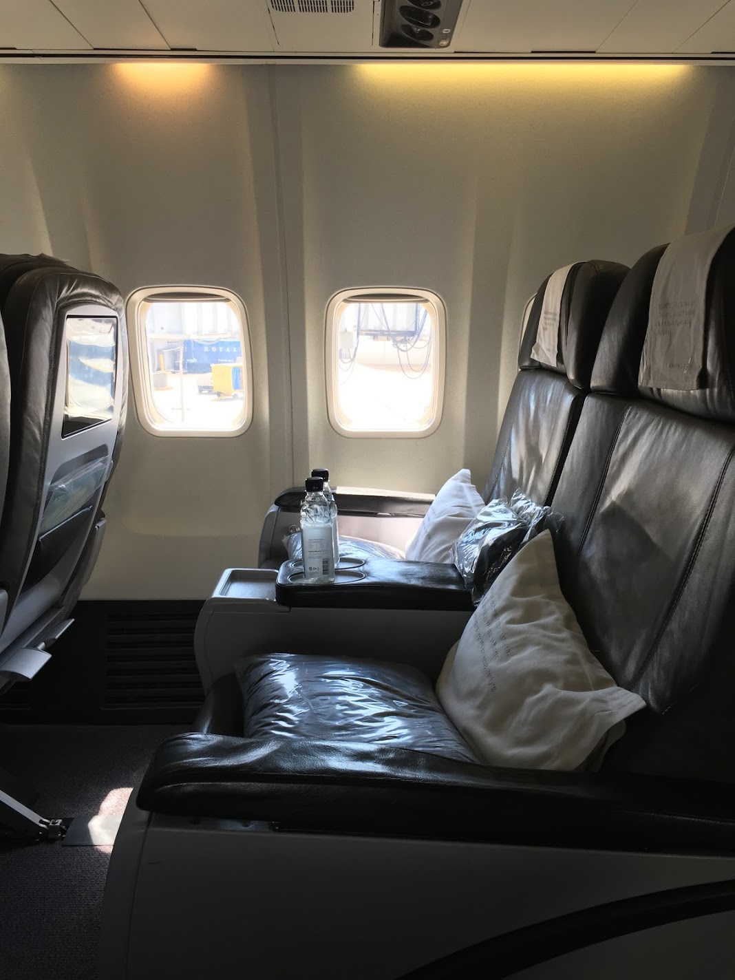 Flight Review: IcelandAir Business Class New York (JFK)- Reykjavik