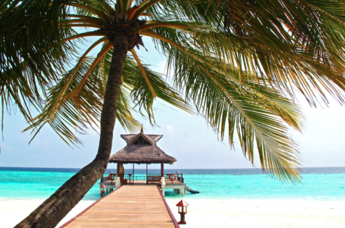 a dock with a hut and a palm tree on a beach