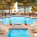 a pool with palm trees and a fountain