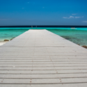 a dock leading to the water