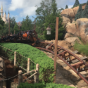 a roller coaster with a castle in the background