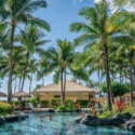 a pool with palm trees and people in it