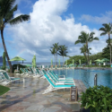 a pool with lounge chairs and palm trees