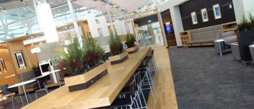 a long table with chairs and plants