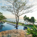 a tree next to a pool