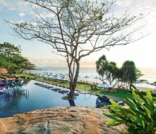 a tree next to a pool