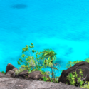 a rocky cliff with trees and blue water
