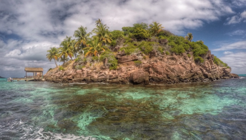 a rocky island with trees and plants on it