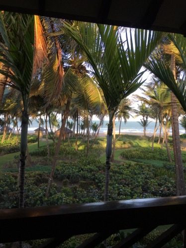 a view of a beach from a balcony