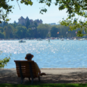 a person sitting on a bench by a lake