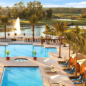 a pool with palm trees and a fountain