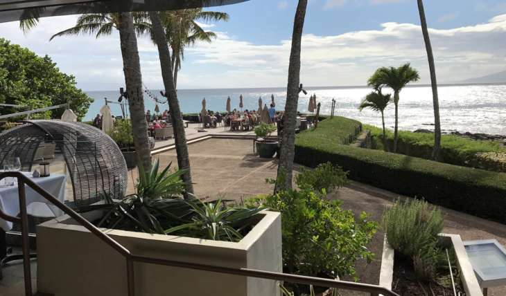 a patio with palm trees and people sitting on chairs and umbrellas