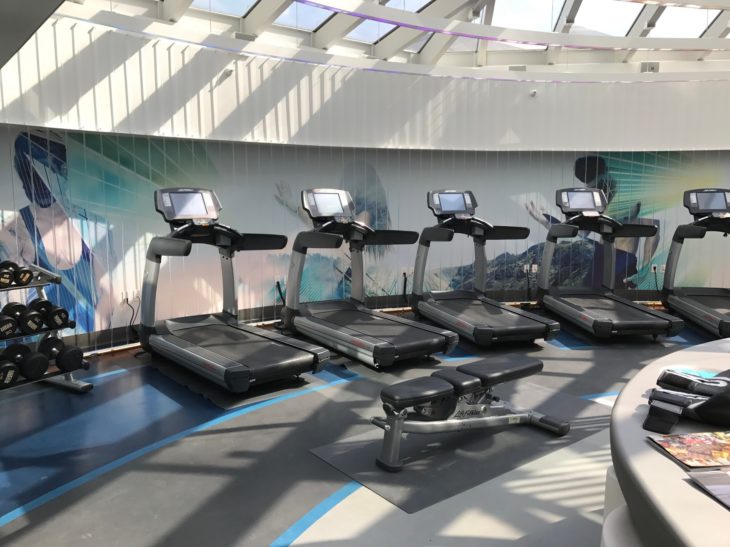 a group of treadmills in a gym