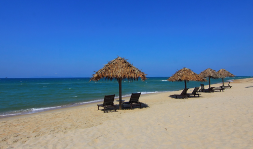 a group of chairs and umbrellas on a beach