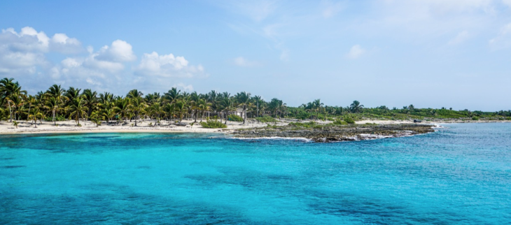 a beach with palm trees and blue water