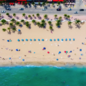 aerial view of a beach with umbrellas and palm trees