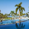 a pool with palm trees and a beach