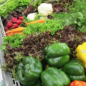 a group of vegetables in a tray