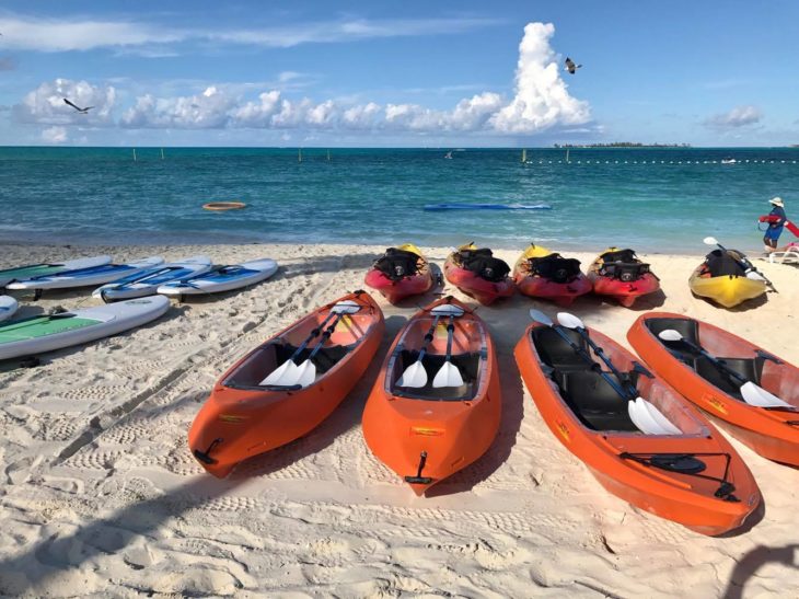 kay kayaks on a beach