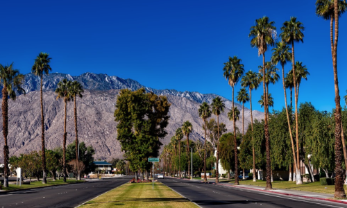 a road with palm trees and mountains in the background