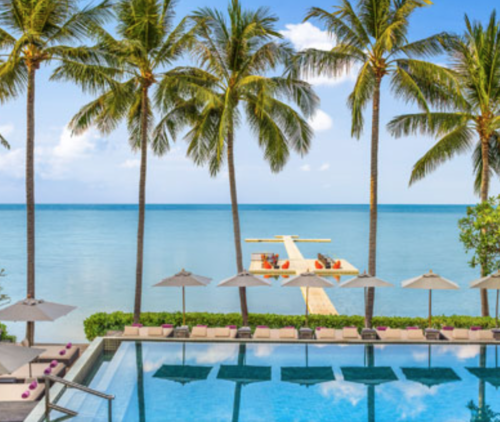 a pool with palm trees and a dock in the background