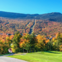 a golf course with trees and mountains in the background