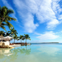 a body of water with palm trees and a building