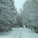 a snowy road with trees and snow covered ground