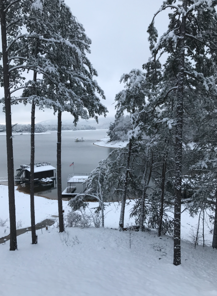 a snowy landscape with a dock and trees