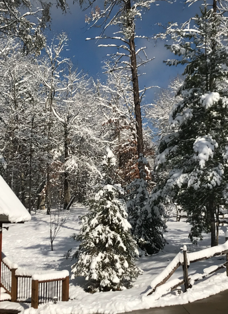 a snowy landscape with trees and a fence