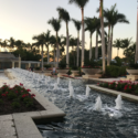 a water fountain with flowers and trees