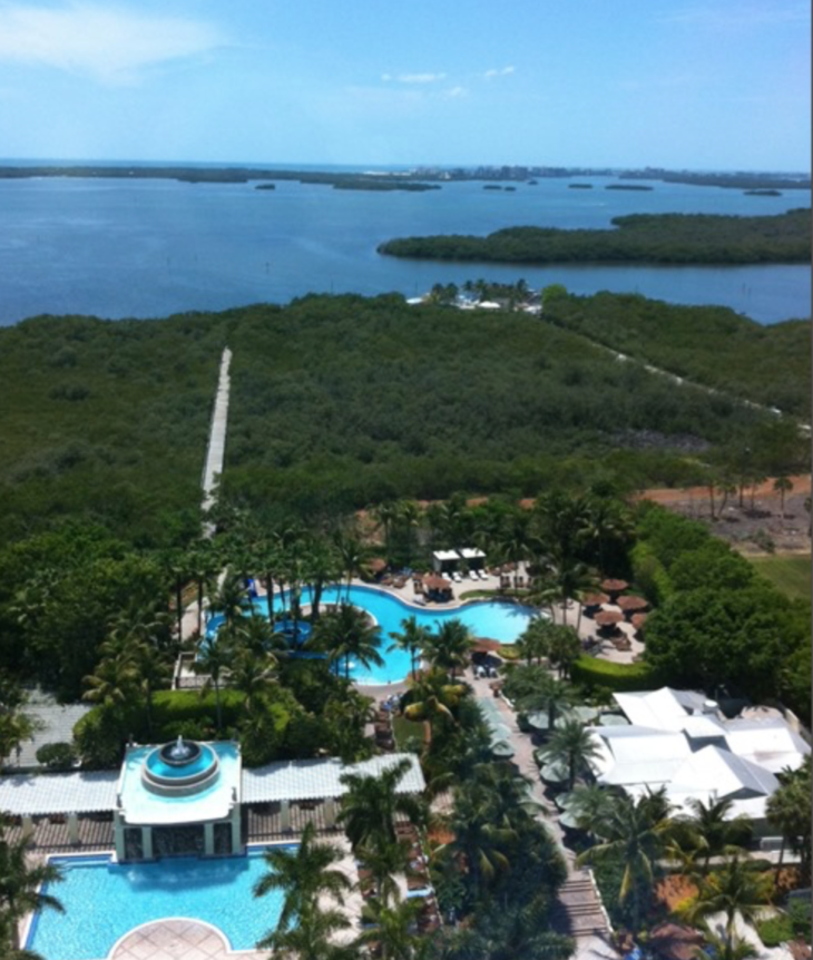 Hyatt Coconut Point Review